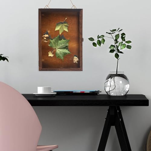 Boîte à spécimens en bois rétro HEMOTON avec couvercle vitré pour collection d'insectes - 6