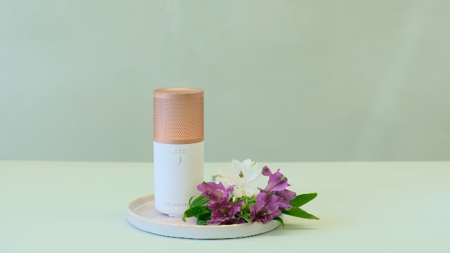 Primavera Aroma Nebuliser Traveller - Wireless Compact Versatile - Electric Oil Burner, Diffuser, Room Fragrance - Essential Oils and Fragrance Blends