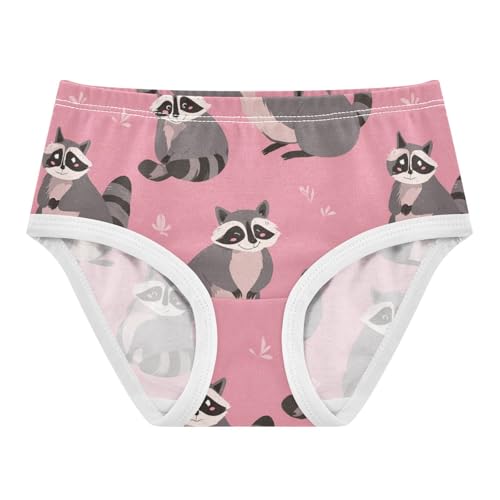 Wusikd Funny Raccoons Girls' Underwear Cotton Girls Briefs Soft Toddler Underwear 2T