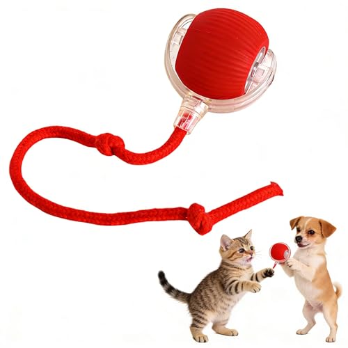 �L �������� ����, �X�}�[�g�����C���^���N�e�B�u���[�����O�L���b�g�g�C�����L�p�d�q�C���^���N�e�B�u�G���Q�[�W�����g�g�CUSB�[�d���y�b�g�p�V�ѓ���Ŏ�{�\���h���ϋv���̂��鎺���y�b�g�p�G���^�[�e�C�����g �L�p�i