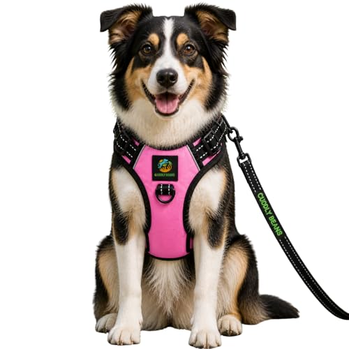 Image of Adjustable Padded Dog Harness with Leash, Pink, M (16-24 kg)