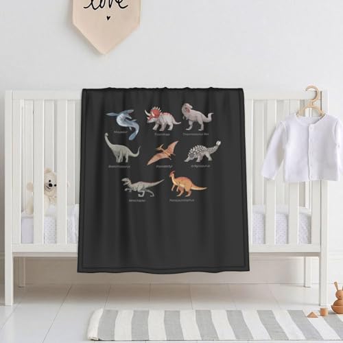 xr[ѕz  r[uuPbg |ѕz  uPbg ^IPbg ʋC q ۈ牀 [΍ GARpi lGʗp ?蕨 150X200cm