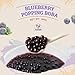 52USA Blueberry Popping Boba (500g), Popping Pearls for Bubble Tea, Beverages, Sweets, Ice Cream, Shakes, Desserts & Smoothies Topping, 1.1 Pound (Pack of 1)