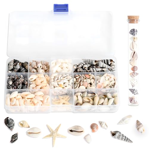 400 peças conchas de mar decoração, caracóis naturais do mar, Sea of Stars e caramaceiros, para colares de bricolage, sinos de vento, garrafas de desejos e aquário decoração