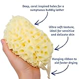 Thumble B0FXHFS6BF lato 2