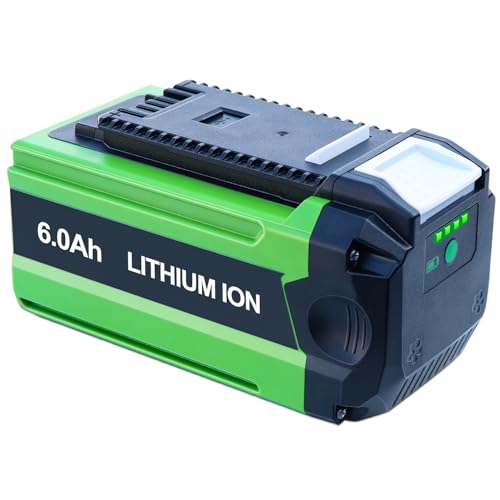 BOTKK Batterie de rechange 6 Ah pour Greenworks 40 V 29662 29652 29472 29462, etc. Compatible avec les outils Greenworks 40 V Battey avec port USB