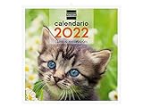 Duración de la anualidad: Enero 2022 - Diciembre 2022 (12 meses)