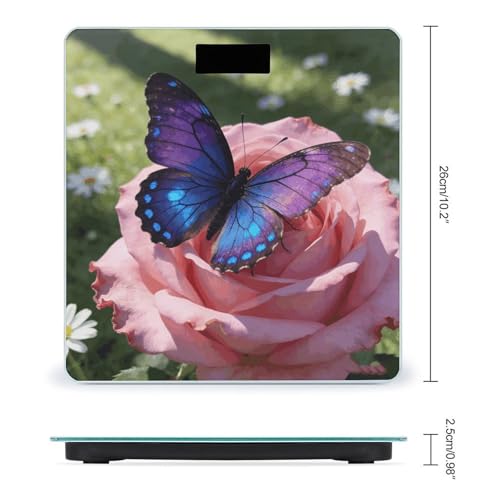 Báscula digital de baño con vidrio templado y pantalla LED miniatura 2