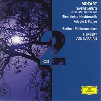 モーツァルト: 交響曲集、アイネ・クライネ・ナハトムジーク(2種)、他 モーツァルト アイネ・クライネ・ナハト・ムジーク 交響曲