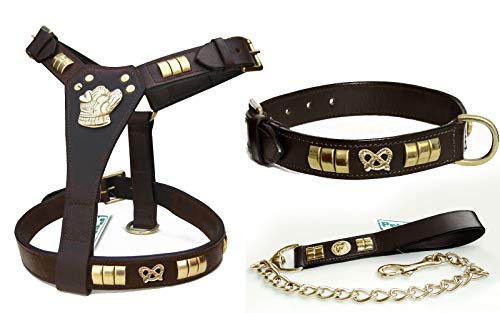 Aces Equine Hundegeschirr, Halsband und Leine für Staffordshire Bullterrier, Schwarz und Braun, Messingbeschläge