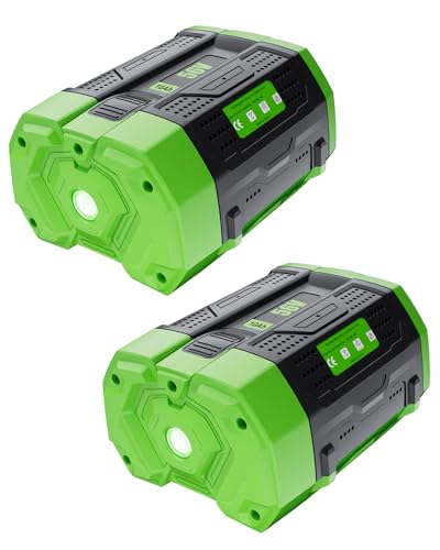 Image of HOCHSTERN 2Pack 56V 10.0Ah Battery Replacement for EGO Battery BA2800T BA1400T BA4200T BA5600T BA6720T