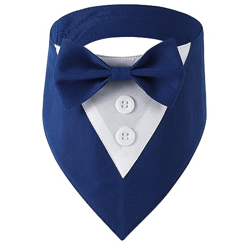 BRT Bearingshui ���p�^�L�V�[�h�A�t�H�[�}���h�b�O�E�F�f�B���O�o���_�i�J���[�A���l�N�^�C�t���A���߉\�ȃy�b�g �a���� �E�F�f�B���O �^�L�V�[�h ������^�� �y�b�g�p (L�A�u���[)