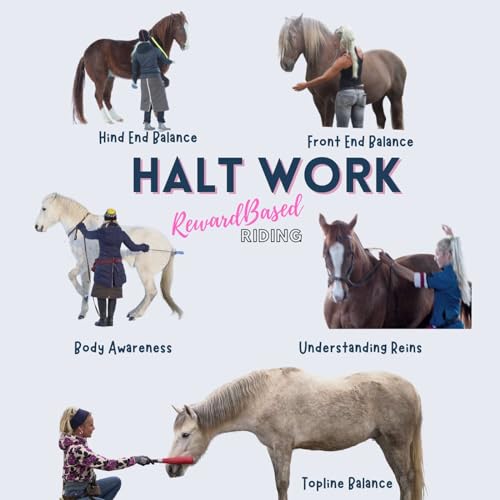 Working in halt. For body awareness, gymnastics and understanding of the aids.