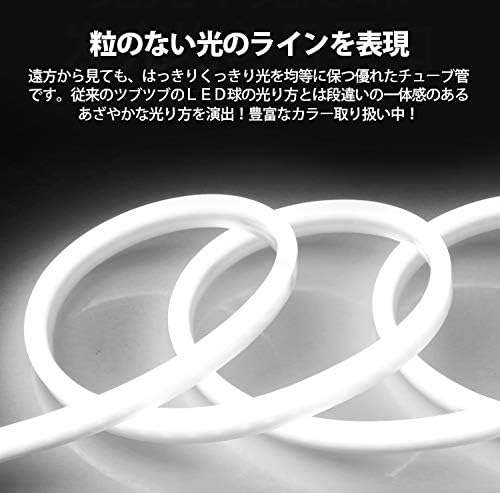 heartcame 新開発の EL蛍光チューブ管 LEDストリップライト 100v 家庭用 PSEプラグ付き 120SMD/M 防水