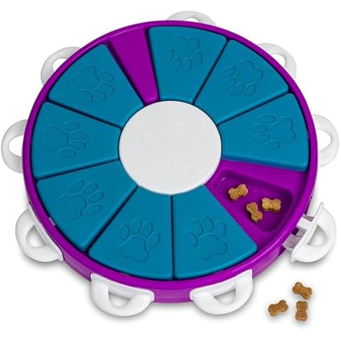 Outward Hound Nina Ottosson Dog Twister Dog Puzzle Interactive Treat Puzzle Dog Enrichment Dog Toy, Level 3 Advanced, Purple Cover