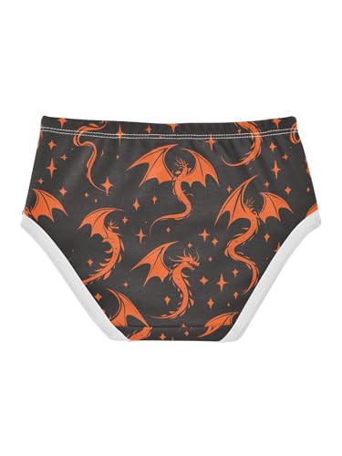 ZZKKO Silhouette Flying Fire Dragon Star Girls Underwear Toddler Panties for Girls Comfort Brief Size 2-8T2