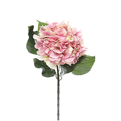 FloristryWarehouse Vástago de hortensia artificial gigante 60 cm, color rosa