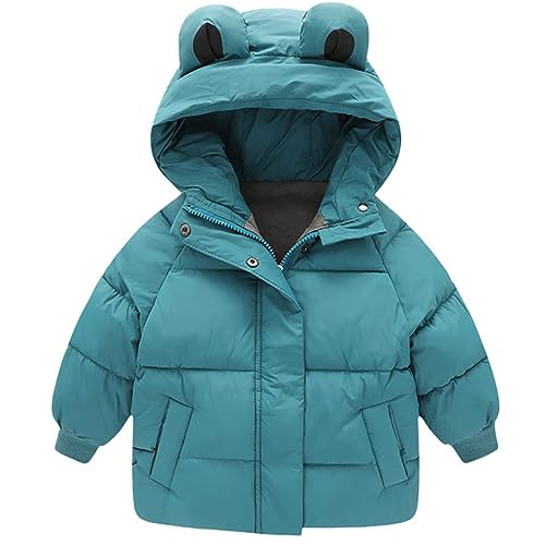 Little Girls Boys Winter Warm Cartoon Zipper Cute Bear Ears Hoodie Jacket Down Puffer Coat Outwear