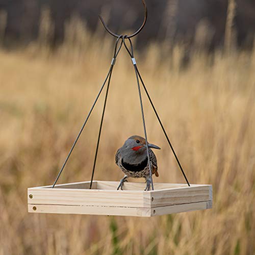 Perky-Pet 50178 Hanging Tray Bird Feeder #TOP4