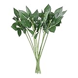 💐 Diese künstlichen Grünpflanzen brauchen kein Wasser, Sonnenschein und Dünger. Sie werden niemals verwelken und fallen.