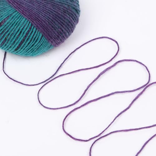 Image of NICEEC 3 Skeins 100% Rainbow Wool Yarn Soft Gradient, Self-Striping, Colorful Single Ply Yarn for Crochet & Knitting (Total 196ydsx3 /1.76ozx3) - 30#