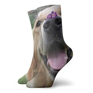 Golden Retriever Dog Smile Volwassen korte sokken Katoenen grappige sokken Wandelen Fietsen Hardlopen Voetbalsporten
