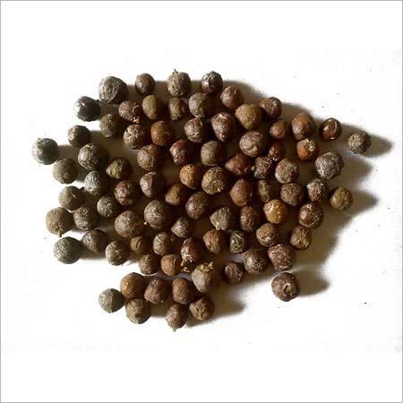NatureHerbs Dry Hauber/Juniper Berry -100 Gm - Image 2 thumbnail