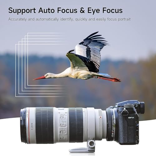Image of VILTROX EF-GFX Pro Lens Adapter EF Mount to GFX Mount Lens Adapter Converter Ring for Canon EF /EF-S Series Lens to Fuji GFX-Mount Medium Format Camera GFX 100 100S 50S 50SII 50R