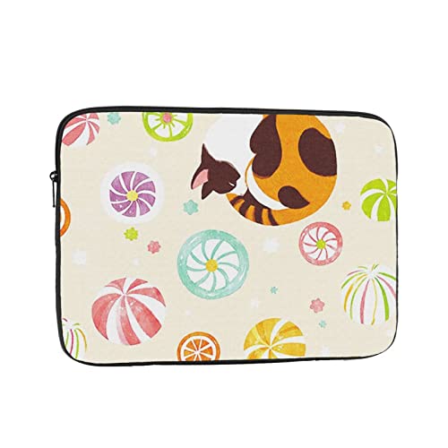 L a m[gp\RP[X 10 inch C` bvgbvX[u PCP[X X[uP[X Ci[P[X ϏՌ ϐ ʋ ʊw 킢 یP[X/m[gubN/^ubg