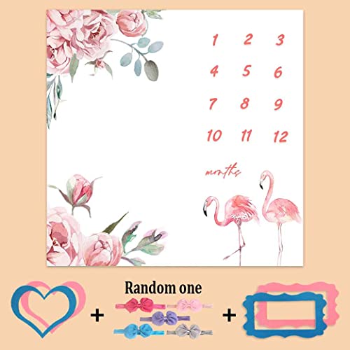 Image of Baby Monthly Milestone Blanket, Pink Flamingo Floral Growth Chart Blanket for Baby Pictures, 47 inchx47 inch New Born Photography Backdrop 1 to 12 Months Include 4 Frames, 1 Headband, BTXTPH74