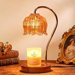 Funistree Flower Candle Warmer Lamp with Timer, Dimmable Candle Lamp Warmer, Christmas Birthday Gifts for Women Mom Her, Housewarming Home Decor, Lotus Wax Warmer for Yankee Candles - Lily Amber