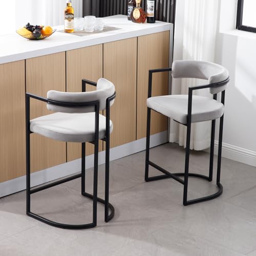 chairus Küchenhocker Samt 2er Set Barhocker Frühstück Modern Tresenhocker für Esszimmer Höhe Bistrohocker mit Lehne (Grau)
