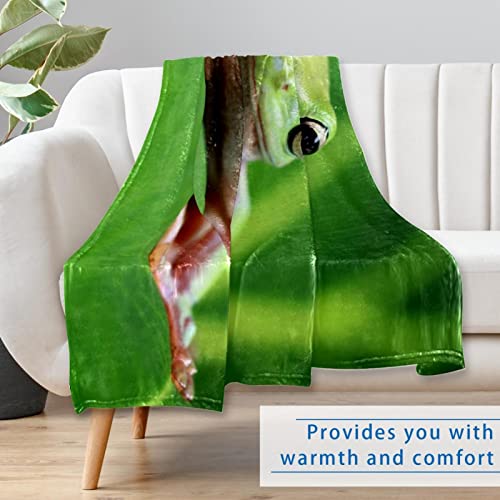 Couverture Dumpy Tree Frog chaude et confortable pour lit et canapé 150x100