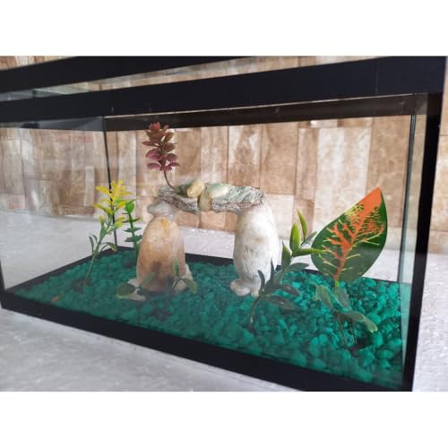 Aquário Beteira Retangular Decorada 4 Litros até a borda Peixe Betta Decorado Ornamentação Exclusiva