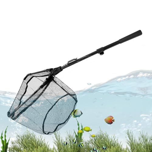 Épuisette télescopique pour saumons et perches avec manche extensible robuste