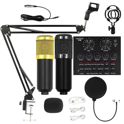 Ensemble de microphones d'enregistrement - Micros de studio professionnels, support réglable, filtre de réduction du bruit, qualité sonore claire | Équipement de streaming en direct pour chanteurs