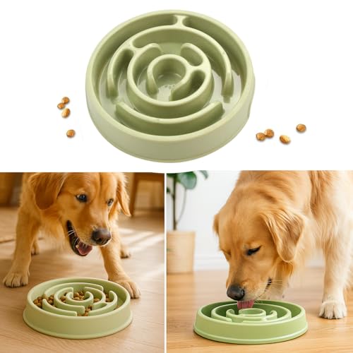 Image of Slow Feeder Bowl | Round Maze Food Bowl for Dogs and Cats | Anti Choking Puzzle Bowl | Anti Slip Interactive Feeding Dish | Durable & Easy to Clean | Anti Bloat and Aids Digestion (Green)