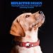 Ledeak Taktisches AirTag Hundehalsband, Wasserdicht Integriertes Apple AirTag Halter Reflektierendes Hunde Halsbänder, Gepolstertes Hundehalsband für Kleine, Mittlere und Große Hunde (Rot, M)