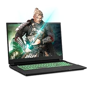Sager-NP7879PQ-173-Inch-Thin-Bezel-FHD-144Hz-72-NTSC-Gaming-Laptop-Intel-i7-11800H-RTX-3060-6GB-32GB-RAM-1TB-NVMe-SSD-1TB-HDD-Windows-10 Sager NP7879PQ 17.3-Inch Thin Bezel FHD 144Hz 72% NTSC Gaming Laptop, Intel i7-11800H, RTX 3060 6GB, 32GB RAM, 1TB NVMe SSD + 1TB HDD, Windows 10