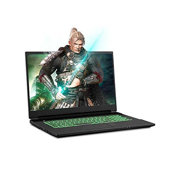 Sager NP7879PQ 17.3-Inch Thin Bezel FHD 144Hz 72% NTSC Gaming Laptop, Intel i7-11800H, RTX 3060 6GB, 32GB RAM, 1TB NVMe SSD + 1TB HDD, Windows 10