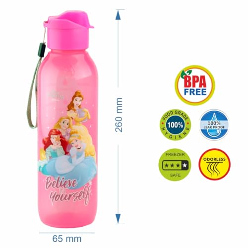 Image of SKi Homeware Trio 3 Compartment Bento Lunch /Snack Box + Sipper Bottle Combo |for Kids' School, Picnic, Sports | for Return Gifts or Party Favours- Princess