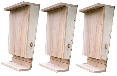 Selections Wooden Bat Box House for Roosting with Landing Perch and Grooved Interior - Pack of 3