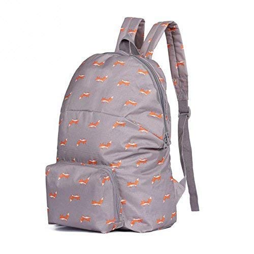 SEASPIRIT Unisex Foldable Polyester Outdoor Backpack (Multicolour)
