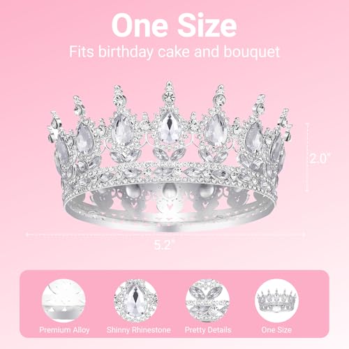 Crown for Women, Queen Crown Tiara for Princess Party (Silver)