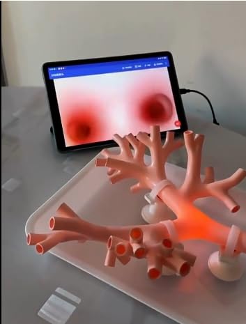 Bronchoscopy Training Model Bronchoscope Training Model Bronchial Model Fiber Bronchial Set for Doctor Teaching, Medical School Nursing Learning (A)
