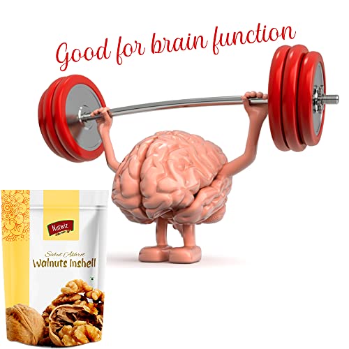 Image of Nutwiz Premium Nuts (Shelled Walnut / Sabut Akhrot, 500g)
