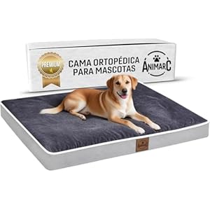 AniMarc Cama para Perros ORTOPEDICA y Viscoelastica Memory Foam – Colchoneta Pequeña Lisa y Fresca Verano – Colchon Perro Ancianos con Funda Lavable, Impermeable e Irrompible (Gris, 121 X 76 X 9CM)