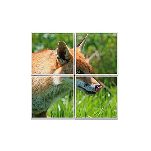 Carreaux céramique renard roux décor mural nature faune sauvage prairie 30x30