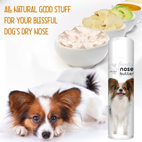 Image of The Blissful Dog Papillon Nose Butter for Dry, Cracked Skin, Lick-Safe Dog Nose Balm with Moisturizing Shea Butter, Almond, Olive, and Essential Oils, Pet Supplies, Uncented, 0.50 oz.