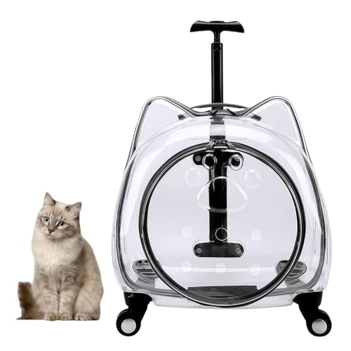 Quxxuol LX[cP[X ybgJ[g ybgL[ LLAX[cP[X LX^[t y  LXy[X ʋC ^тȒP U s Oop (L,ubN-A)